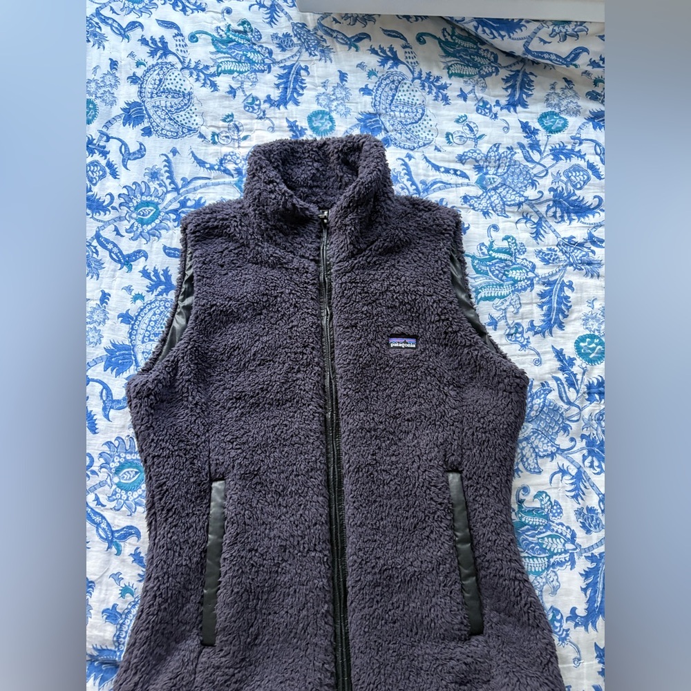 Patagonia fleece vest